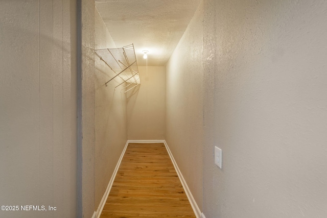 spacious closet featuring hardwood / wood-style floors