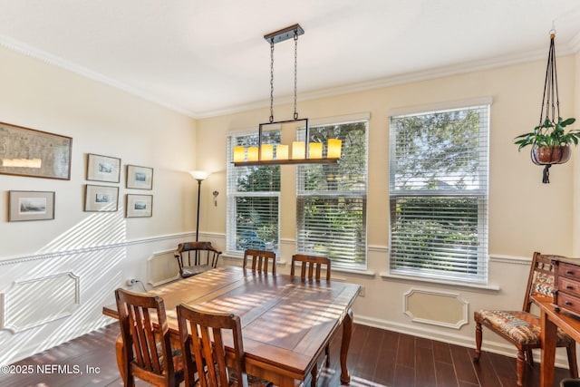 dining room featuring ornamental molding, plenty of natural light, and dark hardwood / wood-style flooring