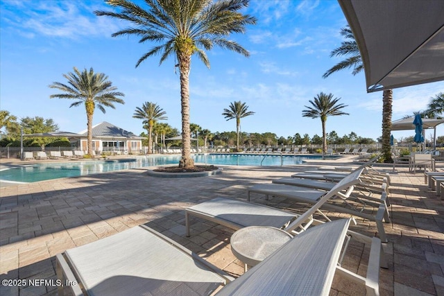 view of pool featuring a patio