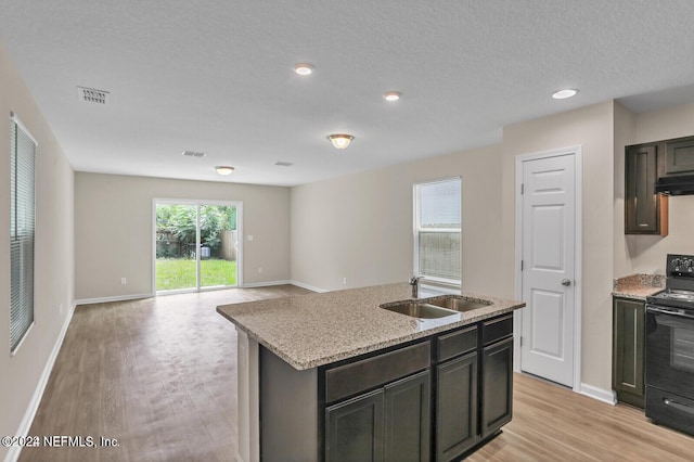 kitchen with sink, an island with sink, black electric range oven, and light hardwood / wood-style flooring