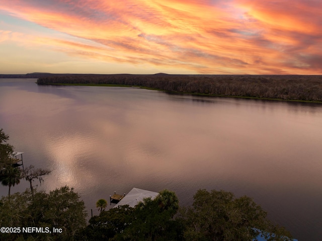 property view of water