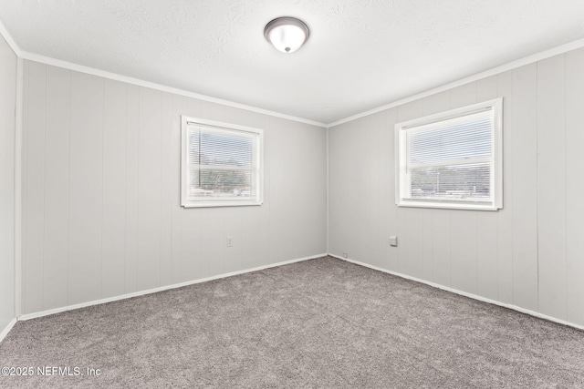 spare room with carpet floors, a wealth of natural light, and ornamental molding