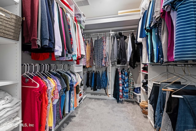 spacious closet featuring carpet flooring