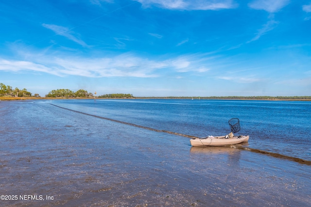 property view of water