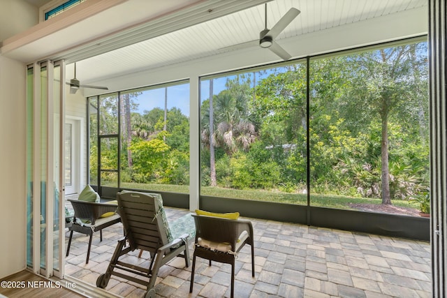 sunroom featuring ceiling fan and a healthy amount of sunlight