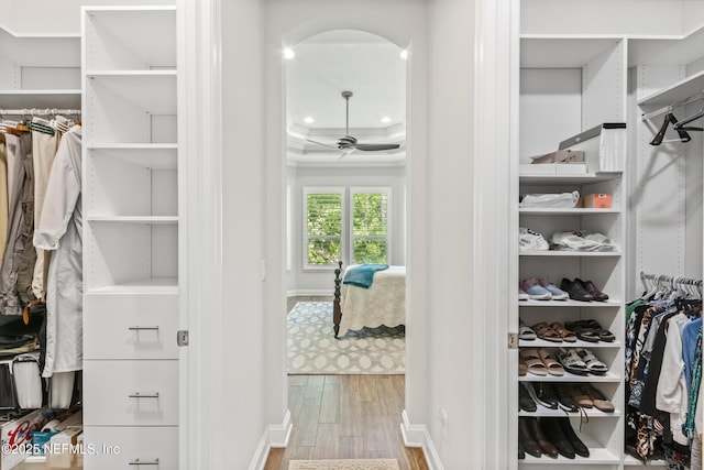 spacious closet with arched walkways, a raised ceiling, ceiling fan, and wood finished floors