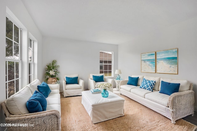 living room featuring hardwood / wood-style floors and plenty of natural light