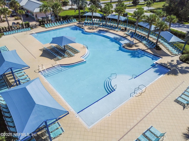 view of swimming pool with a patio area