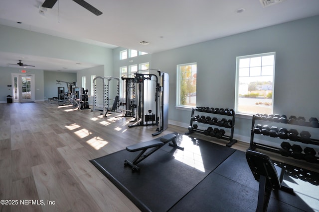 exercise room with wood-type flooring and ceiling fan