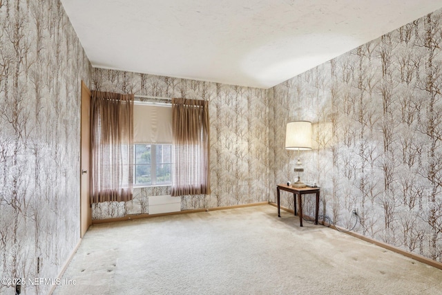 spare room featuring carpet flooring and a textured ceiling