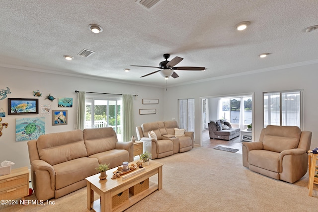 carpeted living room with ceiling fan, ornamental molding, and a textured ceiling