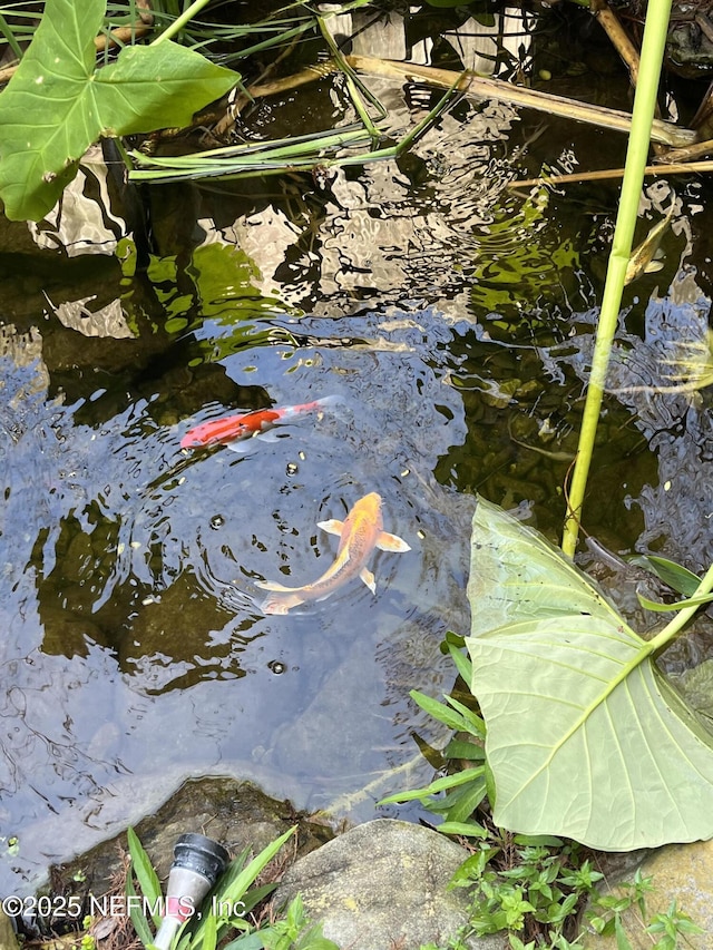 exterior details featuring a garden pond