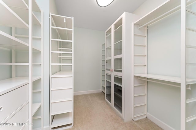 spacious closet with light carpet