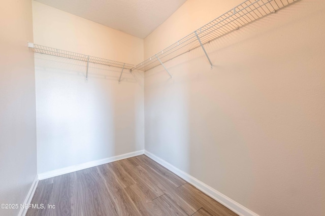 walk in closet with wood finished floors