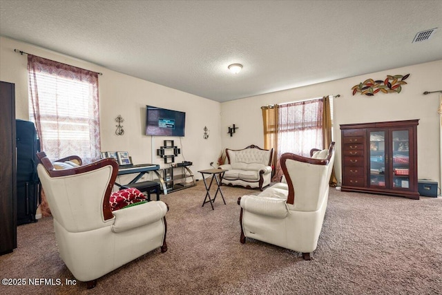 living room with carpet floors and a textured ceiling