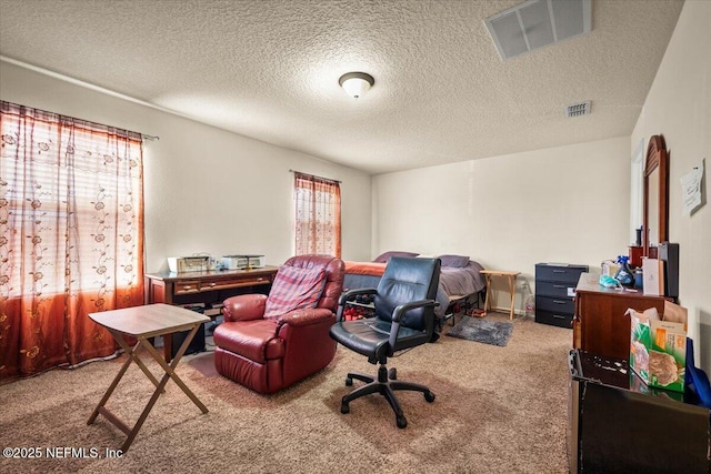 office space featuring a wealth of natural light, carpet, and a textured ceiling