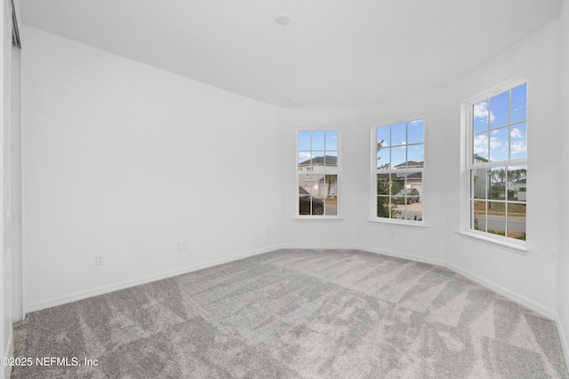 spare room featuring carpet flooring