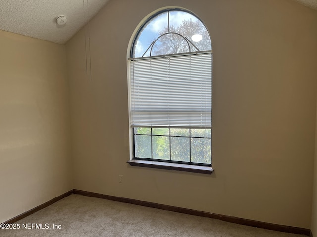 empty room featuring a textured ceiling, lofted ceiling, baseboards, and light carpet