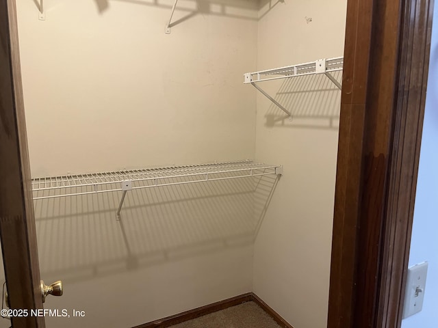 view of spacious closet