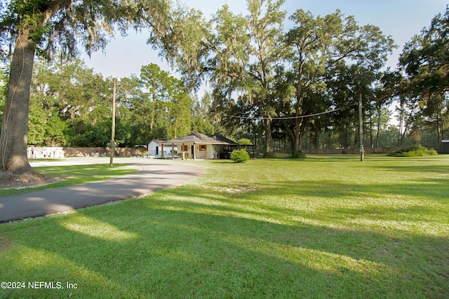 view of community featuring a yard