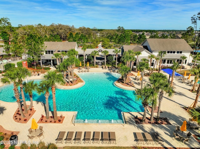 view of pool featuring a patio