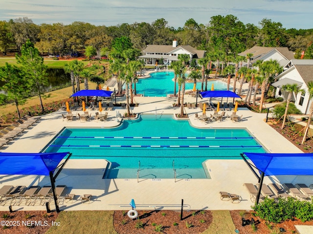 view of pool with a patio