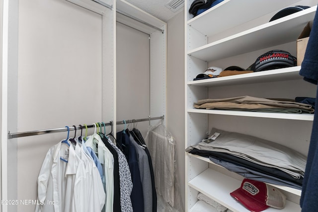 view of walk in closet