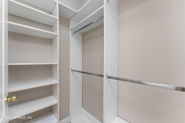 view of walk in closet