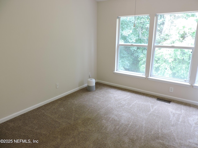 empty room with carpet and a healthy amount of sunlight