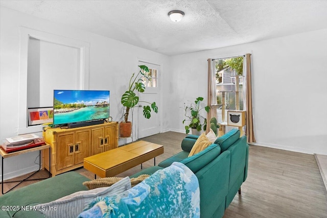 living room with hardwood / wood-style floors and a textured ceiling