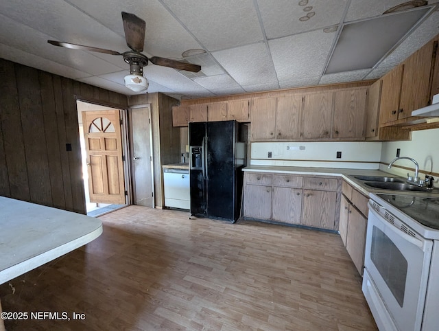 kitchen with light hardwood / wood-style floors, wood walls, white appliances, a paneled ceiling, and sink