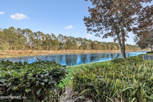 view of water feature