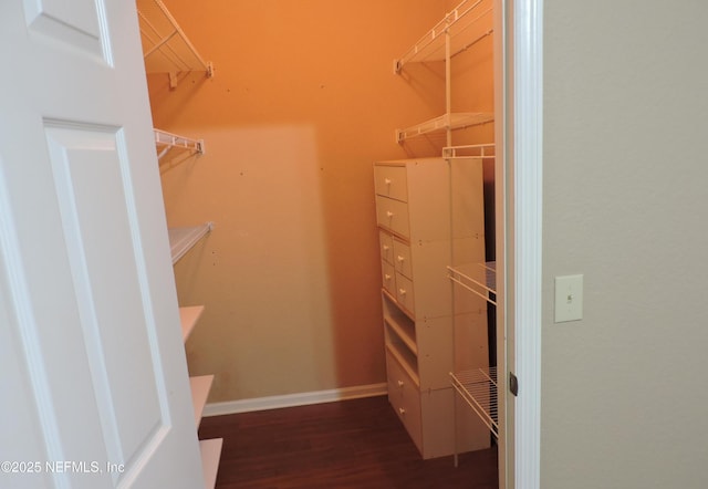 walk in closet featuring dark wood-type flooring