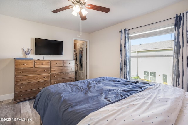 bedroom with ceiling fan, light wood-type flooring, a spacious closet, and a closet