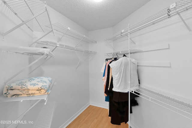 walk in closet with hardwood / wood-style floors