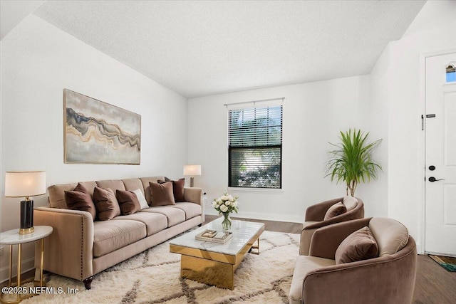 living room featuring wood finished floors, baseboards, and a textured ceiling