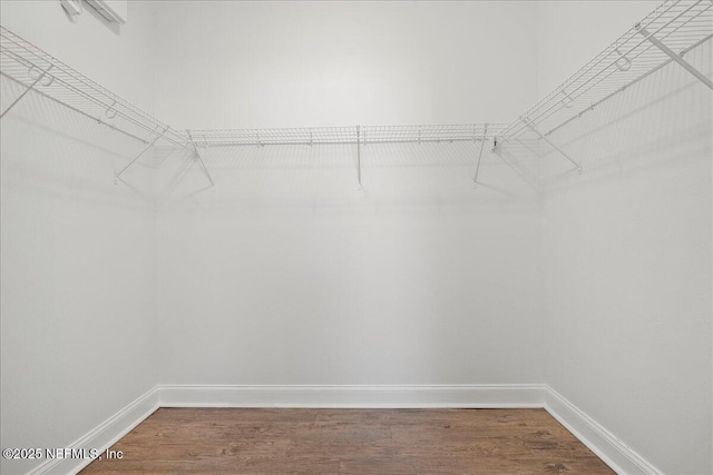 spacious closet with wood finished floors