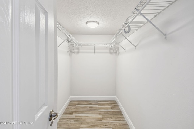 walk in closet with hardwood / wood-style floors