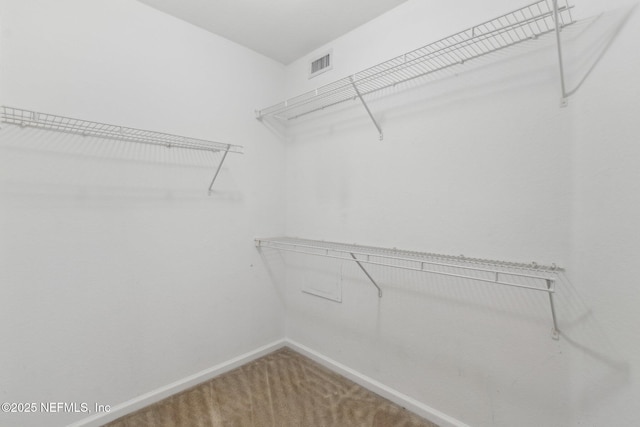 walk in closet featuring carpet flooring