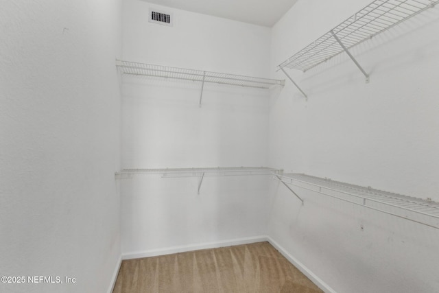 spacious closet featuring carpet flooring