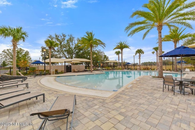 view of swimming pool with a patio area