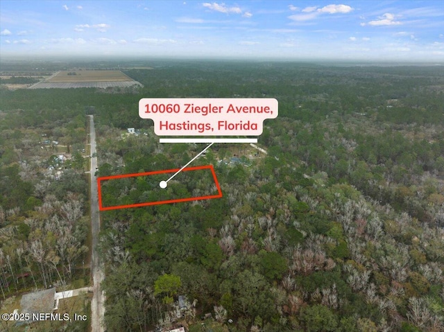 Listing photo 2 for 10060 Zigler Ave, Hastings FL 32145