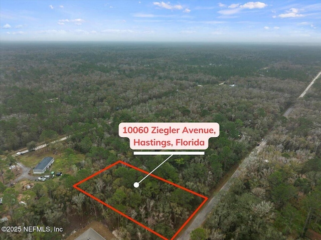 10060 Zigler Ave, Hastings FL, 32145 land for sale