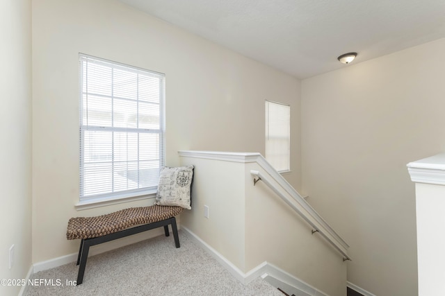 stairway with carpet floors and a wealth of natural light