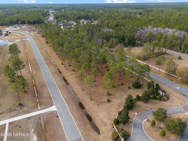 9925 Kings Crossing Dr, Jacksonville, FL 32219 - photo 5