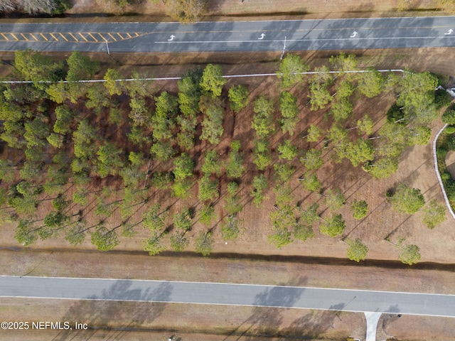 9925 Kings Crossing Dr, Jacksonville, FL 32219 - photo 7