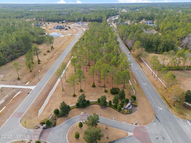 9925 Kings Crossing Dr, Jacksonville, FL 32219 - photo 11