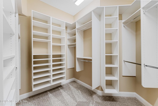 spacious closet with carpet