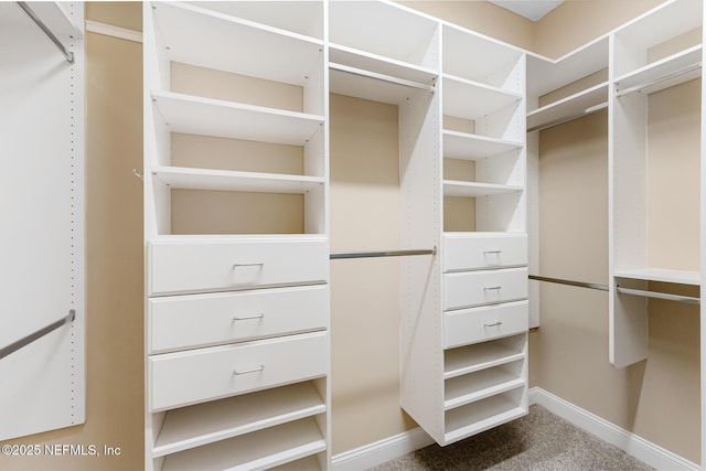 walk in closet with carpet