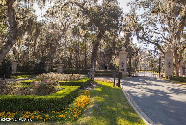 view of community with a gate